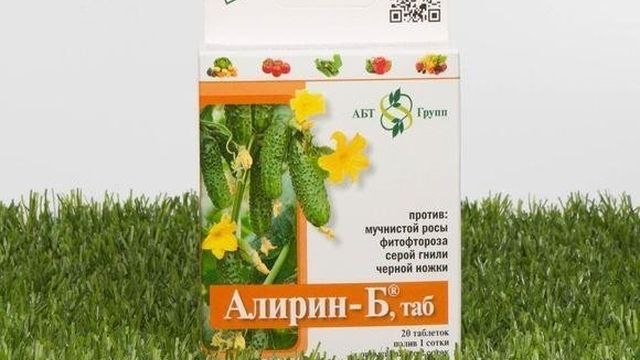 Фунгицид Алирин: инструкция по применению препарата, отзывы, когда обрабатывать растения