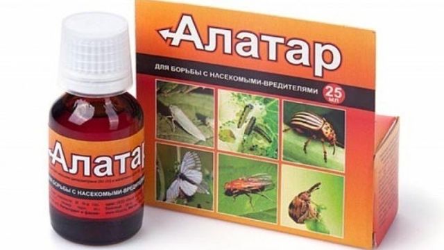 Отличное средство от любых видов насекомых и вредителей на помидорах — Алатар