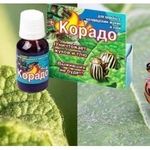 Препарат Корадо от колорадского жука: особенность, использование, как разводить
