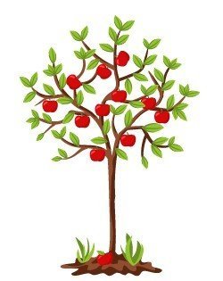 Дерево яблоня в полный рост с красными яблоками