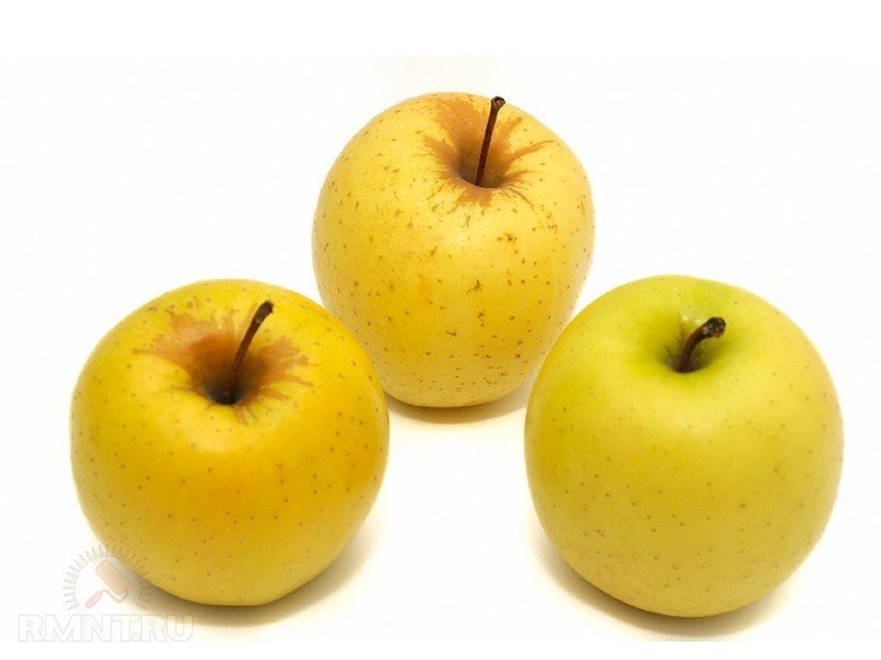 Яблоки голден делишес сербия