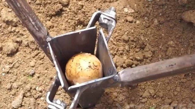 Приспособления для посадки картофеля своими руками