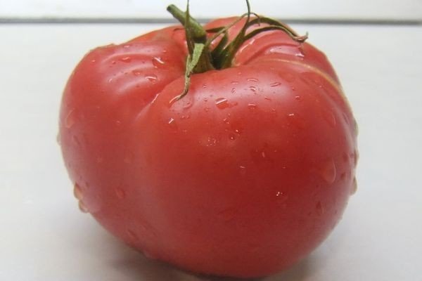 Виды помидоров