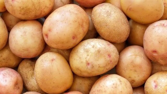 Картофель Жуковский: выращивание, характеристика, уход за сортом