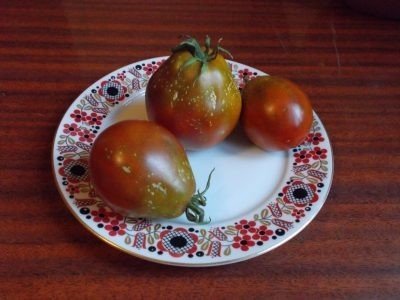 Двухцветные помидоры сорта