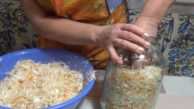 Рецепт квашеной капусты в домашних условиях