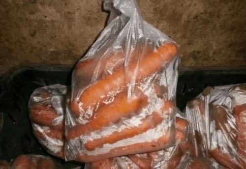 Хранение моркови в пакетах в погребе