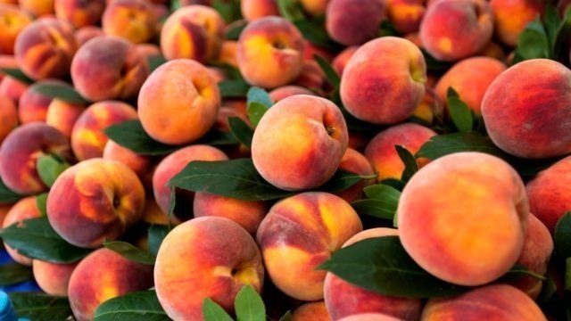Персик абрикос нектарин отличие